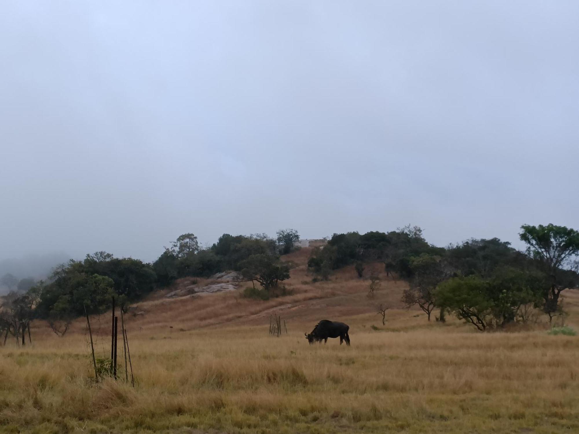 @Nature Luxury Cottages Mbombela Exterior foto