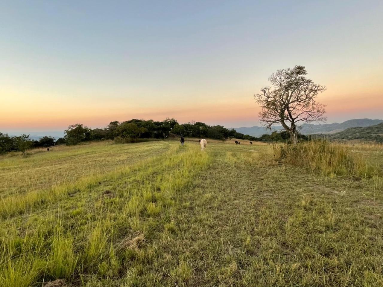 @Nature Luxury Cottages Mbombela Exterior foto