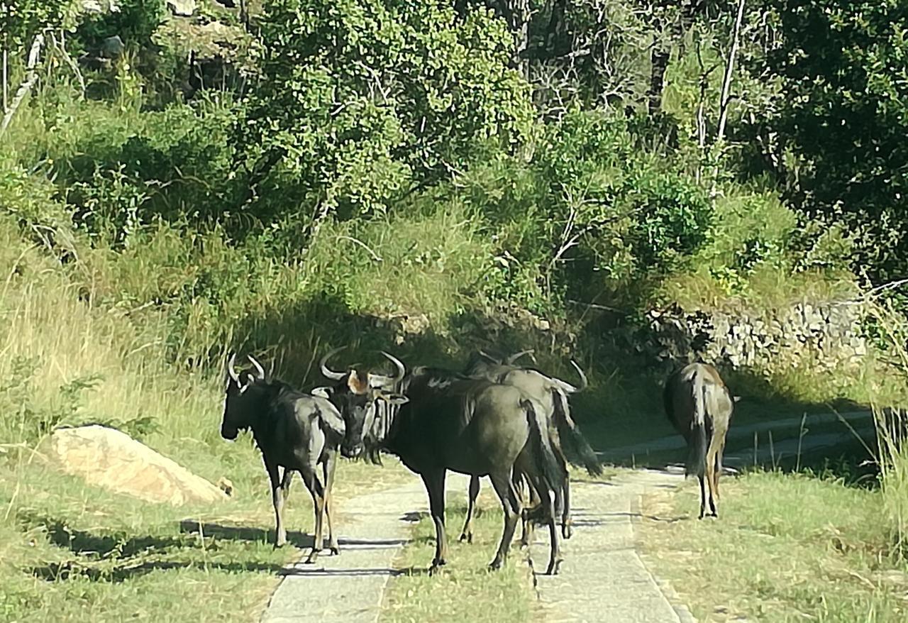 @Nature Luxury Cottages Mbombela Exterior foto